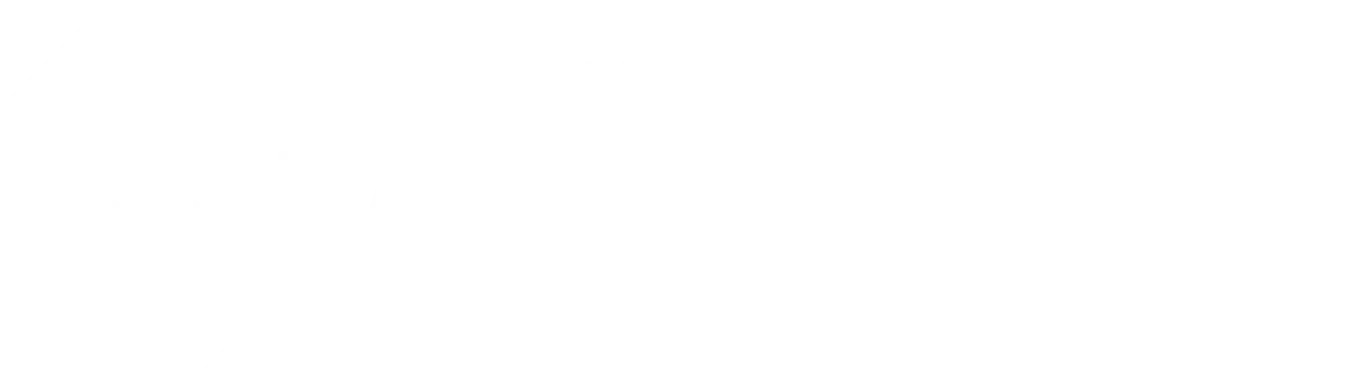 CSS DA UI and UX Innovation Award - White logo